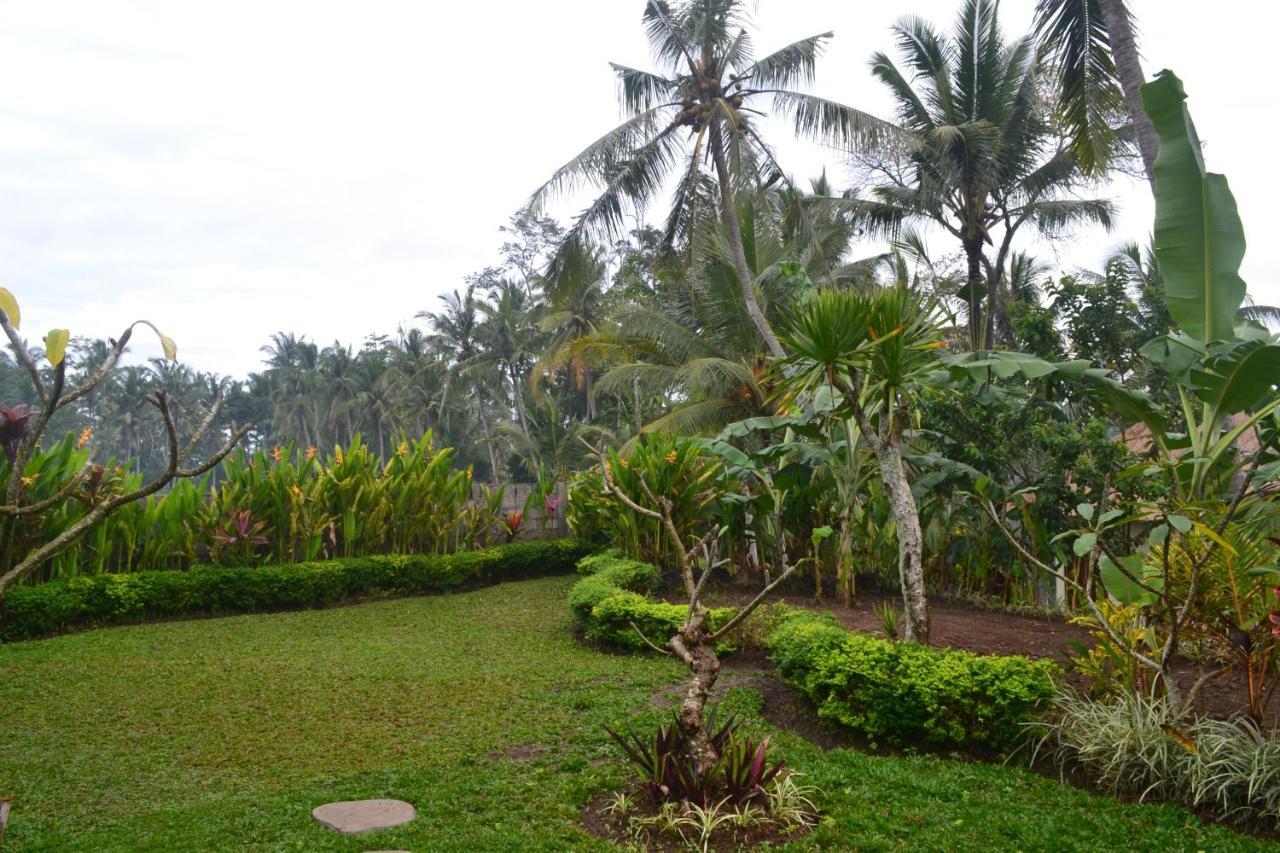 Buda Cottage Ubud Εξωτερικό φωτογραφία
