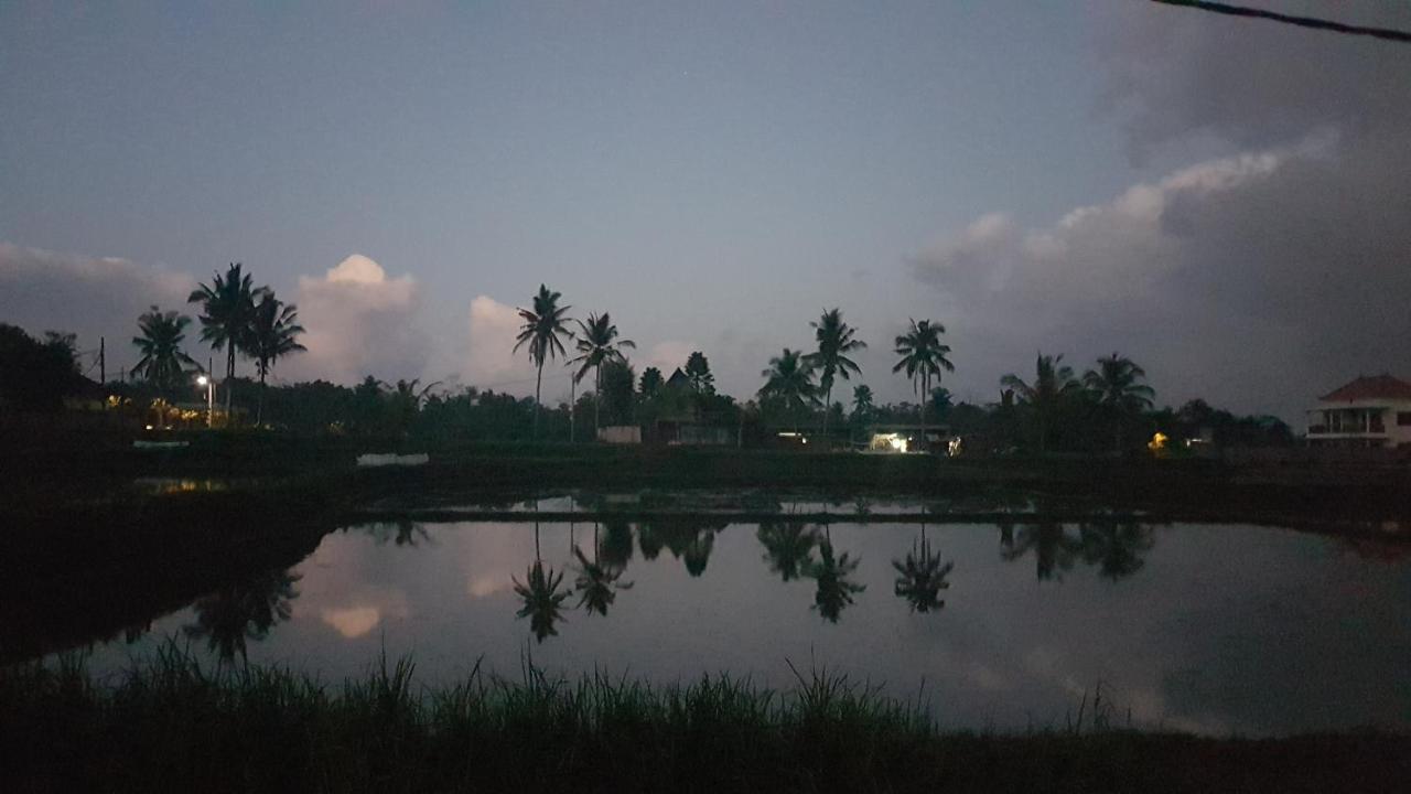 Buda Cottage Ubud Εξωτερικό φωτογραφία